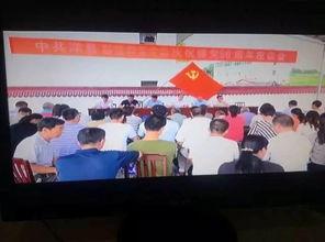 洋县新闻事件爆料,揭秘背后真相与影响